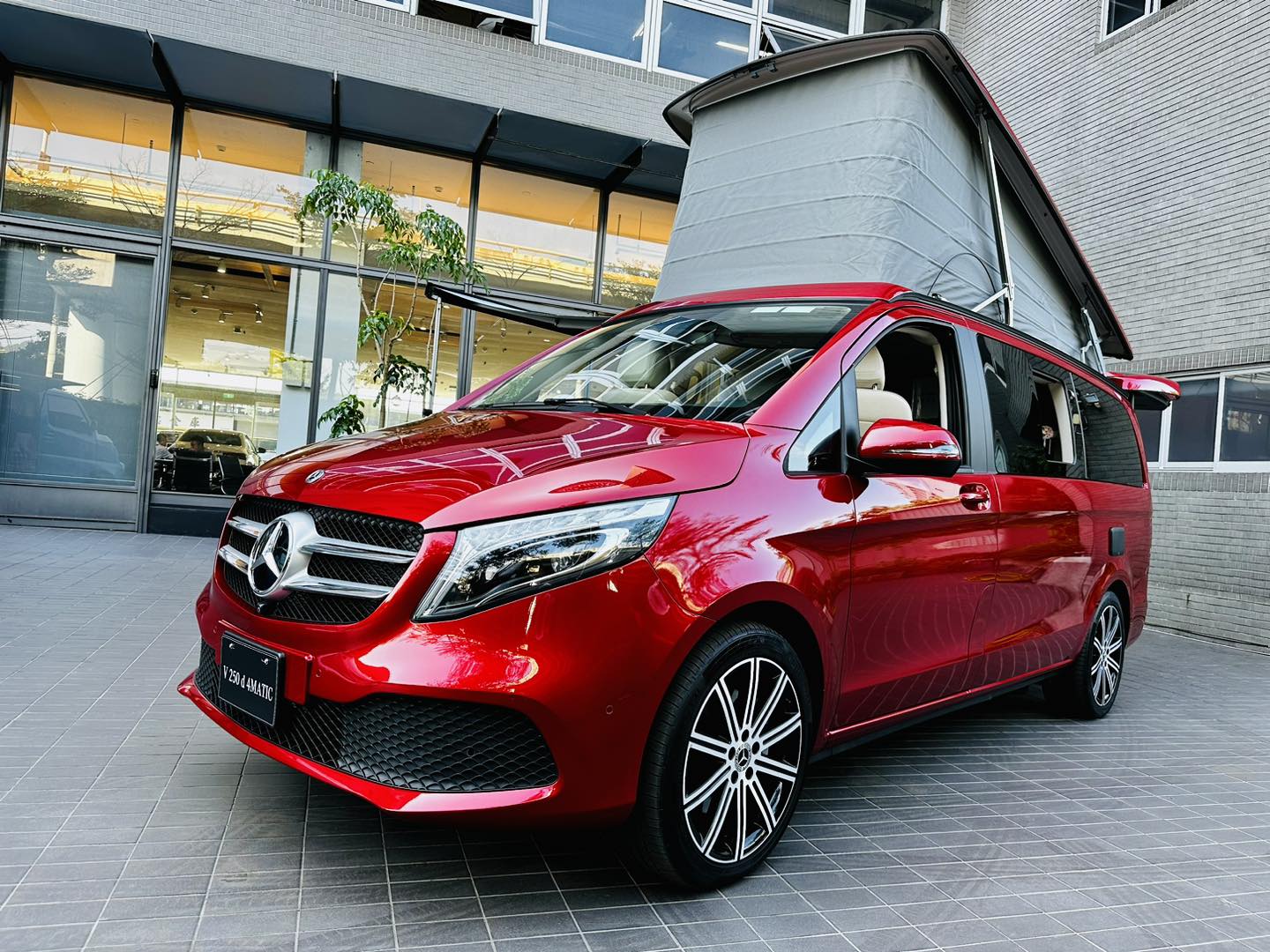 Mercedes-Benz Marco Polo 展間賞車活動
